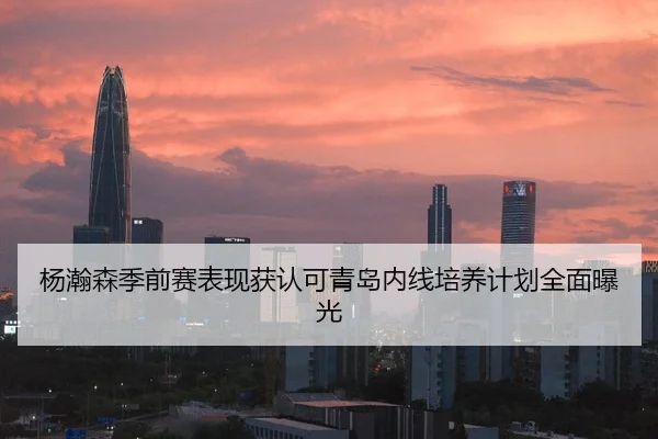 杨瀚森季前赛表现获认可青岛内线培养计划全面曝光