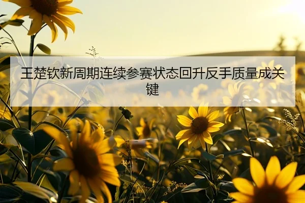 王楚钦新周期连续参赛状态回升反手质量成关键